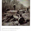 Фотоальбом “Звільнена Київщина. Kyiv area after liberation” 56081